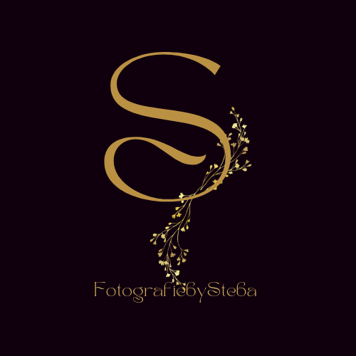 Fotografie by Steba logo